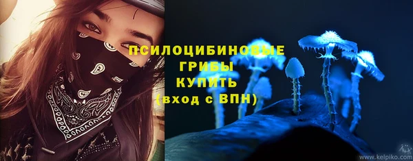 стаф Балахна