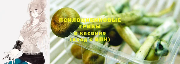 кокс Баксан