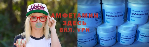 стаф Балахна