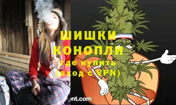 стаф Балахна