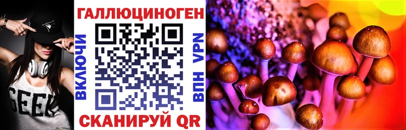 наркота  Иланский  Галлюциногенные грибы Cubensis 